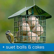 Dual suet feeder starter pack with fat balls & cakes product photo