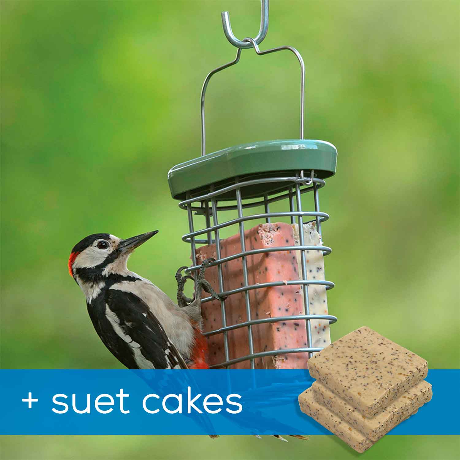 Fat Ball Feeders Suet Cake & Pellet Feeders RSPB Shop