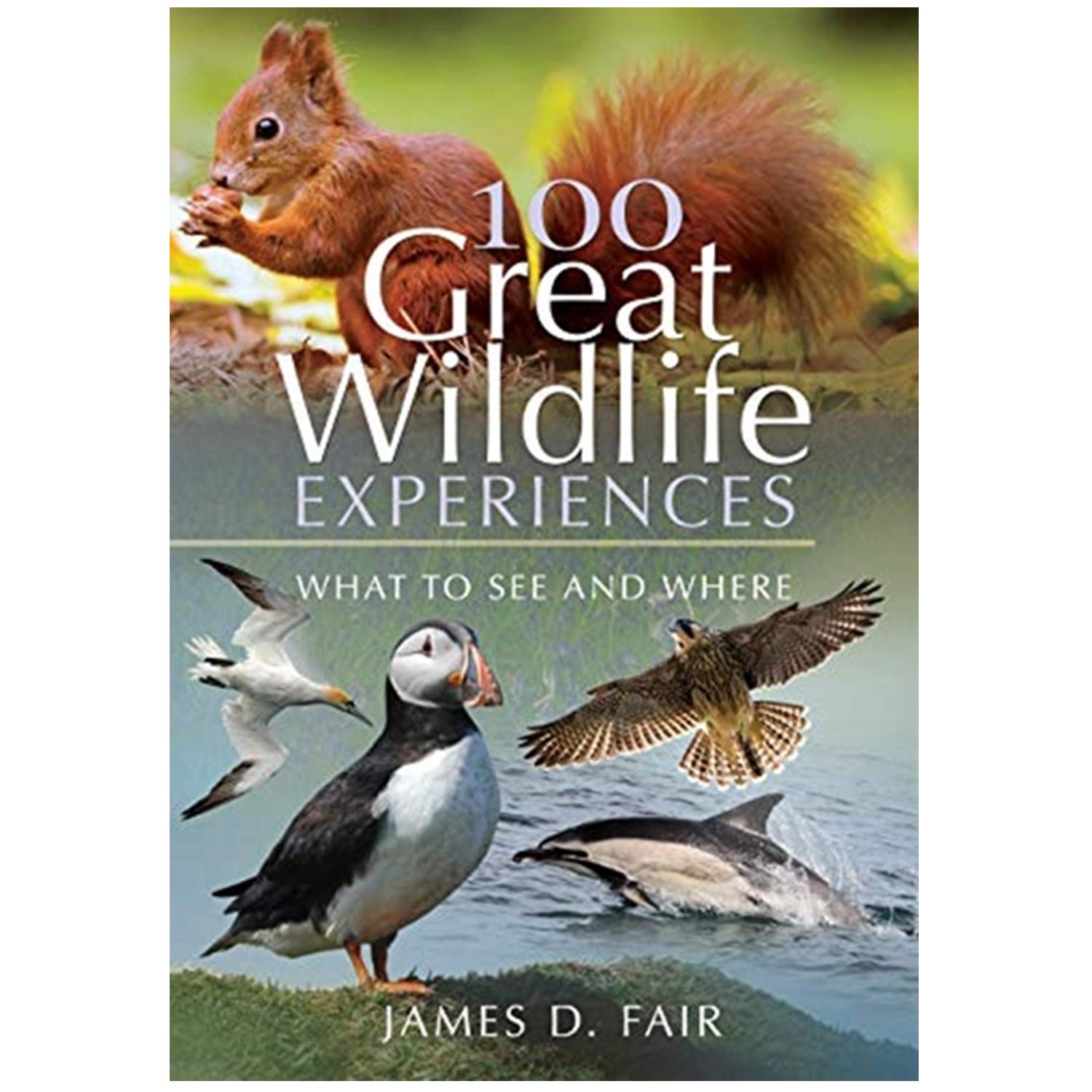 Wildlife Books | Reference Books, Charts & Media - RSPB Shop