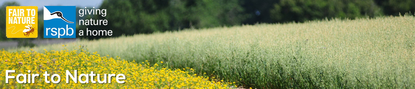 Fair to nature banner