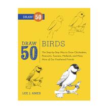 Draw 50 Birds product photo