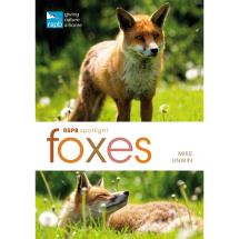 RSPB Spotlight foxes product photo