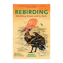 Rebirding - Rewilding Britain and its birds by B Macdonald (paperback) product photo