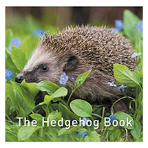 The Hedgehog Book product photo