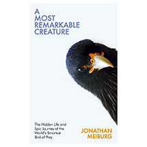 A most remarkable creature: the hidden life and epic journey of the world's smartest bird of prey product photo