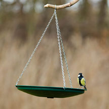 Anywhere bird bath product photo