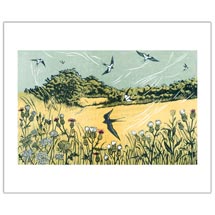 Bayfield Swallow greetings card product photo