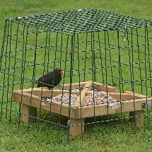 Ground Bird Feeders Bird Food Ground Feeders Rspb Shop