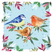Birds and foliage RSPB charity Christmas cards - 10 pack product photo