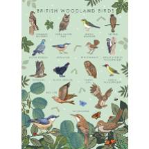 British woodland birds greeting card product photo