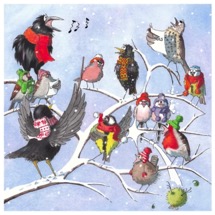 Choir practice RSPB charity Christmas cards - 10 pack product photo