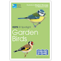 Garden birds identifier chart - RSPB ID Spotlight series product photo