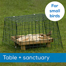 Ground feeding table plus Flat-topped narrow mesh sanctuary - New Design product photo