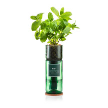 Mint Hydro-herb kit product photo
