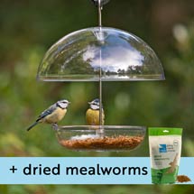 I love Robins&reg; large dome feeder & dried mealworms product photo