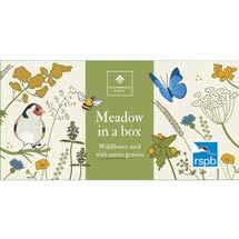 RSPB Mini meadow grass and wildflower seed box product photo