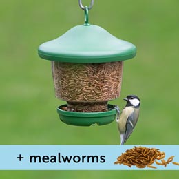 My favourites hanging bird feeder with mealworms product photo