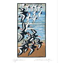 Oystercatchers by Robert Greenhalf greetings card product photo