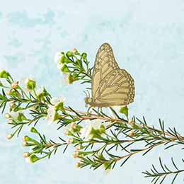 Butterfly plant animal decoration product photo