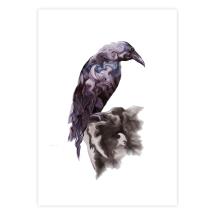 Raven on the rock mounted art print product photo