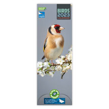 RSPB Birds calendar 2023, slimline product photo