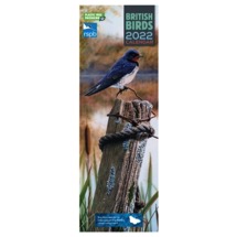 RSPB British birds illustrated slimline calendar 2022 product photo
