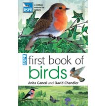RSPB First book of birds product photo