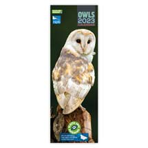 RSPB Owls calendar 2023, slimline product photo