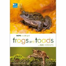 RSPB Spotlight Frogs and Toads product photo