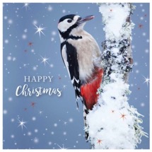 Snowy woodpecker RSPB charity Christmas cards - 10 pack product photo