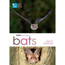 RSPB Spotlight Bats product photo