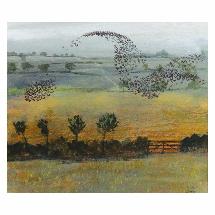 Starlings by Richard Sorrell card product photo