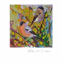 The bullfinches by Daniel Cole card product photo