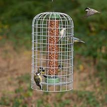 RSPB Ultimate suet pellet & peanut feeder and guardian, medium product photo