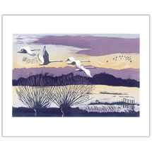 Winter swans greetings cards product photo