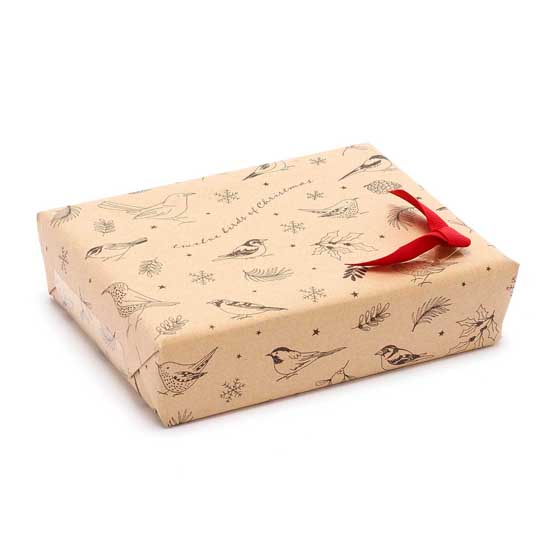 12 Birds of Christmas Recyclable Wrapping Paper | RSPB Shop