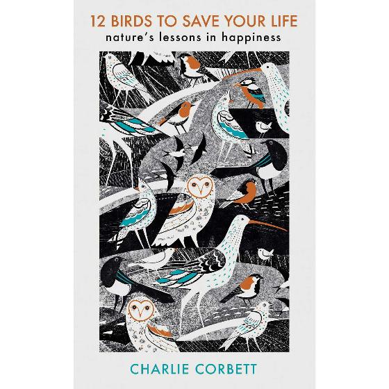 12 birds to save your life: nature's lessons in happiness product photo Default L