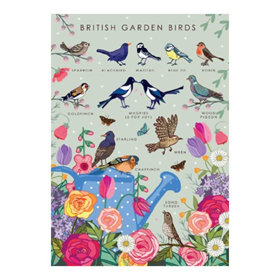 British garden birds product photo Default L