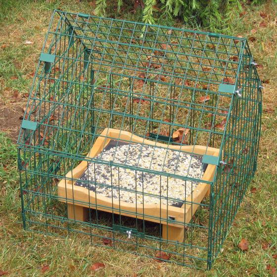 Adjustable Ground Feeding Sanctuary Rspb Shop