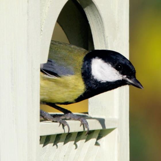 Royal Bempton hanging bird table product photo Front View - additional image 1 L