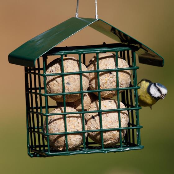 Dual suet feeder for fat balls & cakes product photo Front View - additional image 1 L