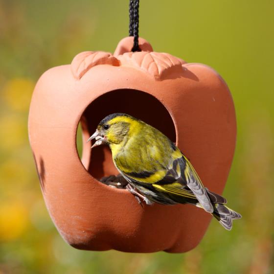 Terracotta apple bird feeder product photo