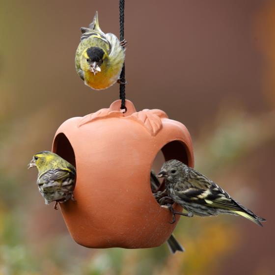 Terracotta apple bird feeder product photo Front View - additional image 1 L