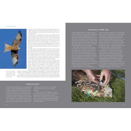 RSPB British Birds of Prey product photo Back View -  - additional image 2 L