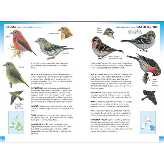 RSPB Pocket Guide to British Birds, 2nd Edition product photo Back View -  - additional image 2 L