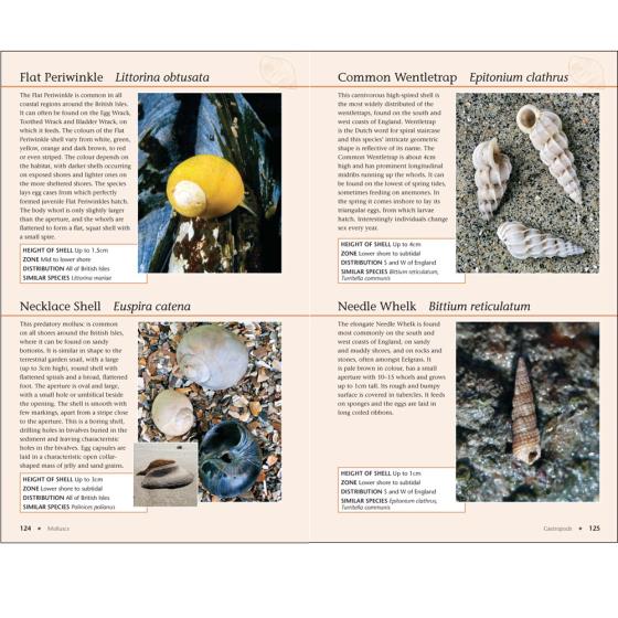 RSPB Handbook of the Seashore product photo Front View - additional image 1 L