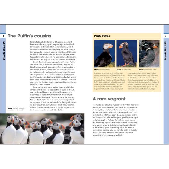 RSPB Spotlight Puffins product photo Back View -  - additional image 2 L