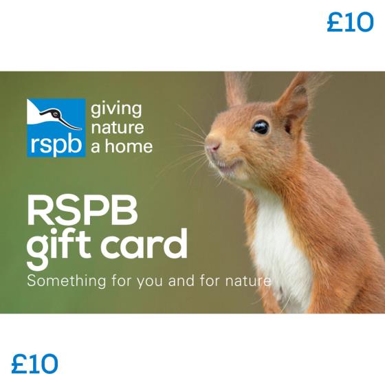 RSPB Gift card £10, squirrel product photo Default L