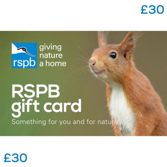 RSPB Gift card £30, squirrel product photo Default L