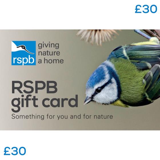 RSPB Gift card £30, blue tit product photo Default L